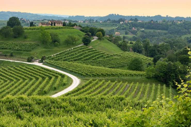 trasferirti subito in Veneto: sembrano usciti da un film