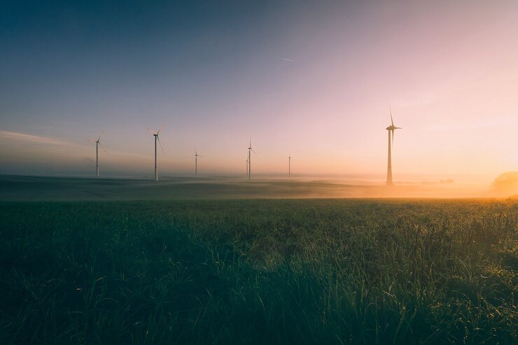 Finanziamenti per l'ambiente