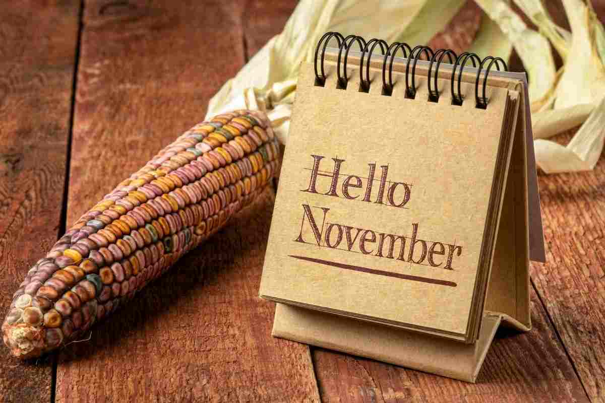 Calendario di Novembre