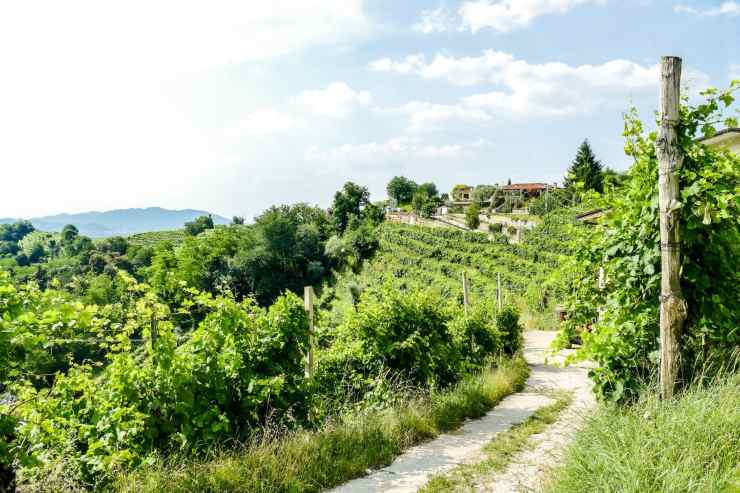 Strada del Prosecco: è questo l’itinerario più bello