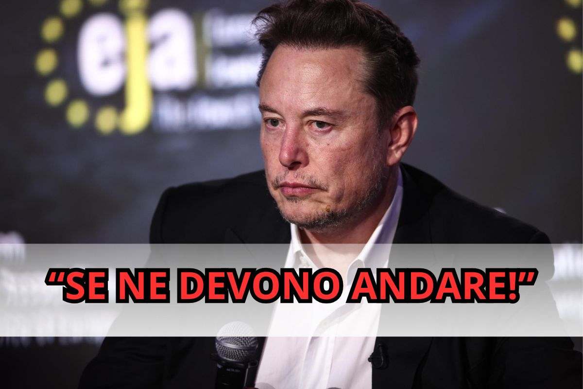 Elon Musk 